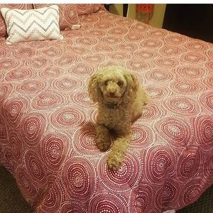 Full queen comforter set